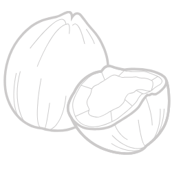 shape